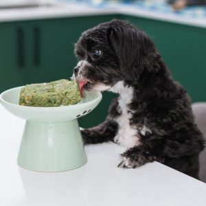RAW TURKEY & KALE "GOBBLE GOBBLE IT DOWN" DOG BLEND