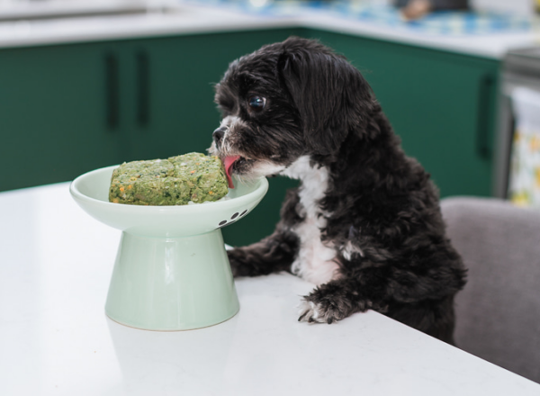 RAW TURKEY & KALE "GOBBLE GOBBLE IT DOWN" DOG BLEND