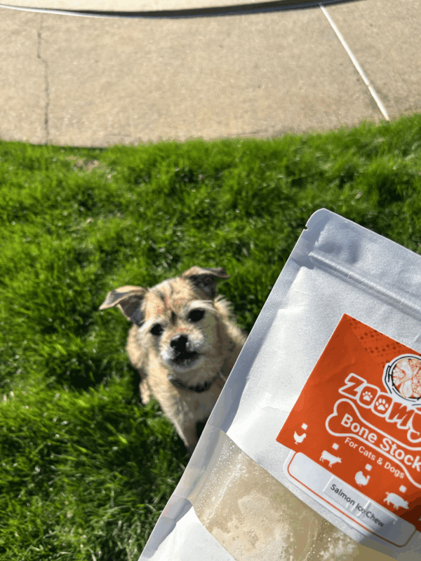 Ice Chews - Image 2